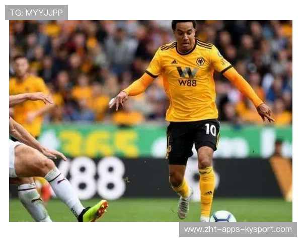 黄蜂队升班马季前表现令人惊喜，黄蜂队的两个马丁