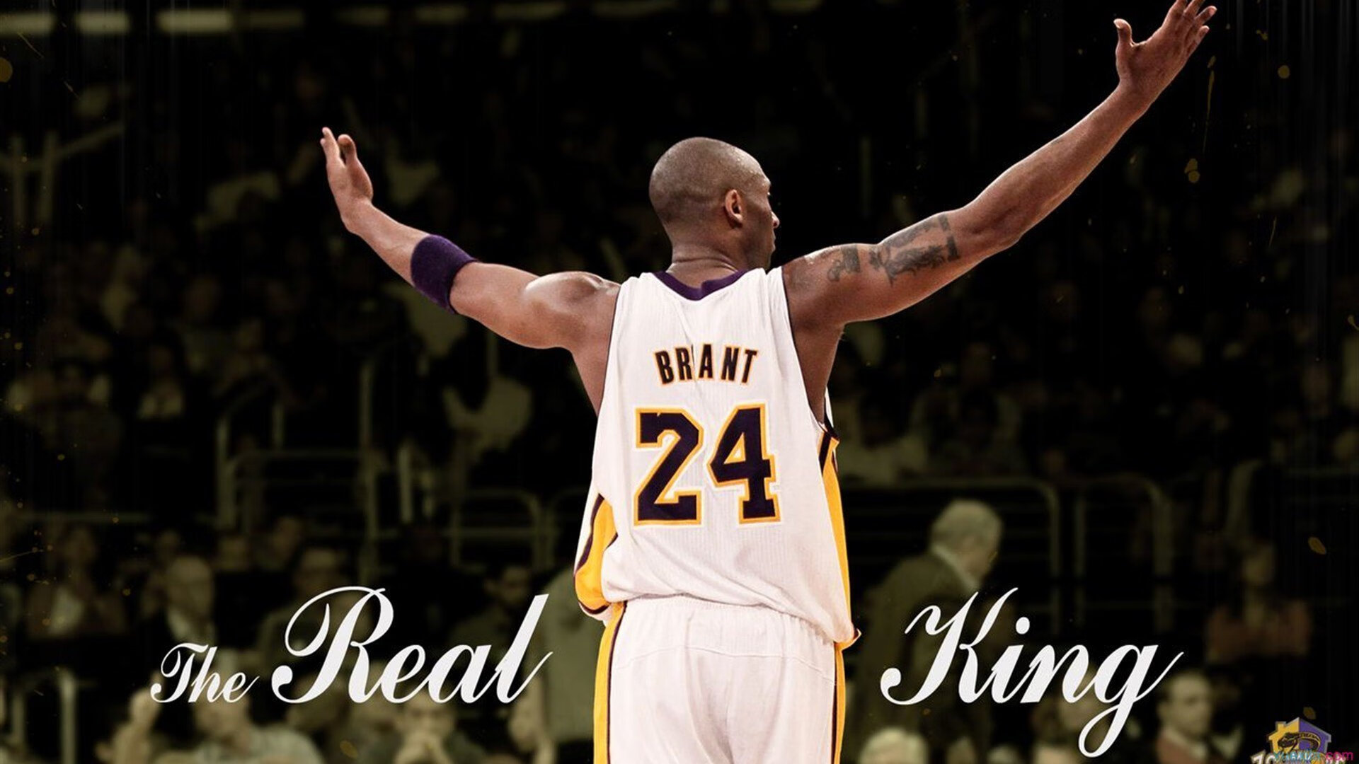 勇士力克太阳,布克孤掌难鸣,库里带领全队表现抢眼,勇士力克鹈鹕取5连胜